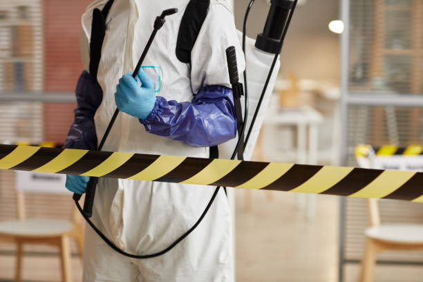 Professional Hoarding Cleanup technician working in Prairie Lea, TX